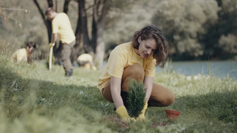 Best Stump Grinding and Removal  in Navasota, TX